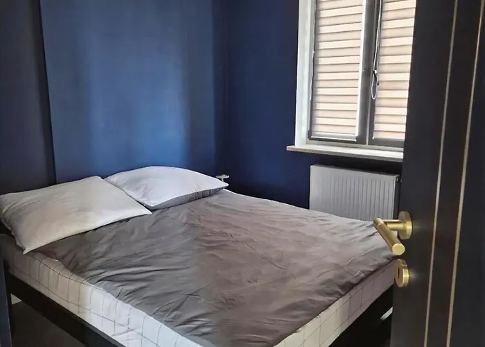 Apartment Newly Renovated Apartment! Center And View! Warsaw