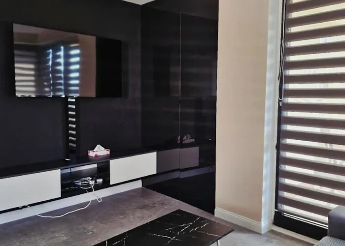 Newly Renovated Apartment! Center And View!