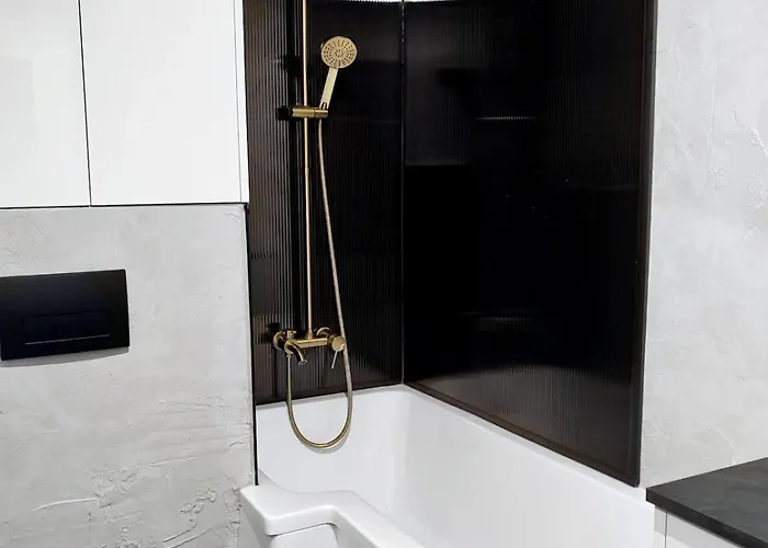 Newly Renovated Apartment! Center And View!